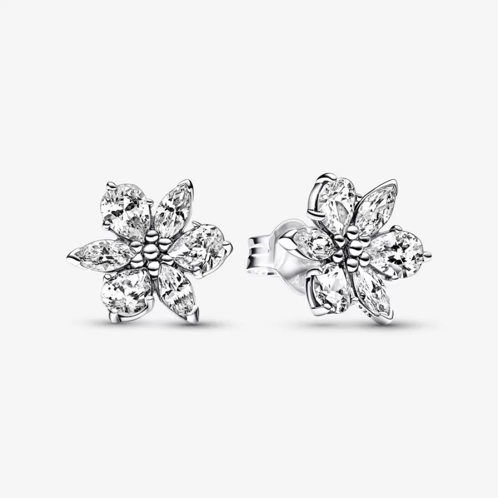 Серьги Pandora Sparkling Herbarium Cluster